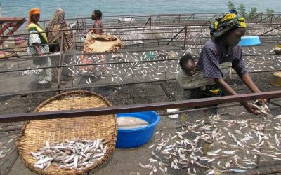 Rwanda | Lake Kivu