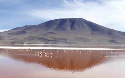 Laguna Colorada