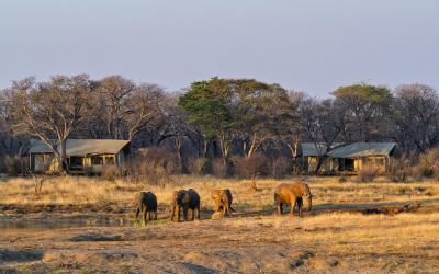 Zimbabwe | Verneys Camp