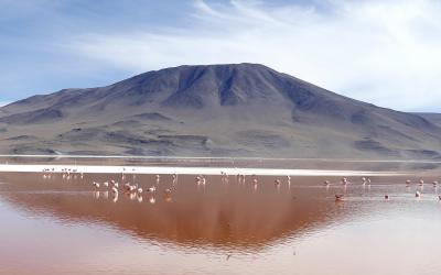 Laguna Colorada