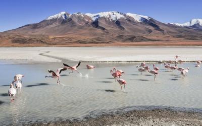 Laguna Colorada3