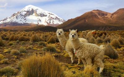 Bolivie1